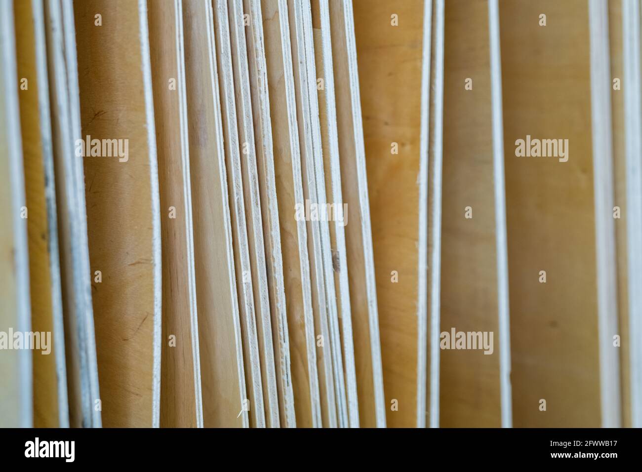 Reihe von Plywoods im zeitgenössischen Baumarkt oder Supermarkt verkauft Stockfoto