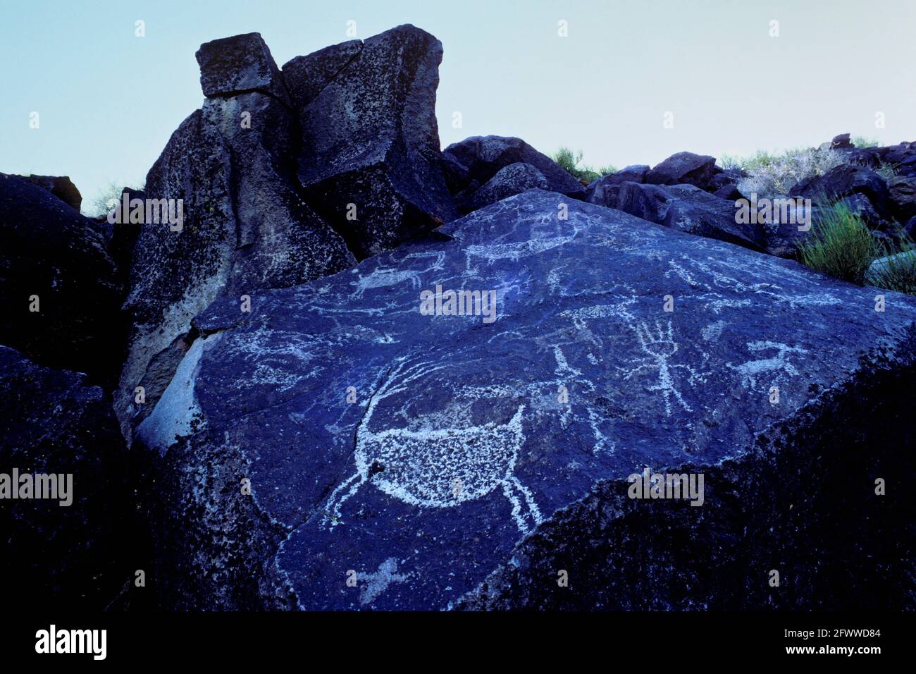 Hirsche, Schafe und schamanische Felszeichnungen; in den Coso Mountains; Kalifornien; USA Stockfoto