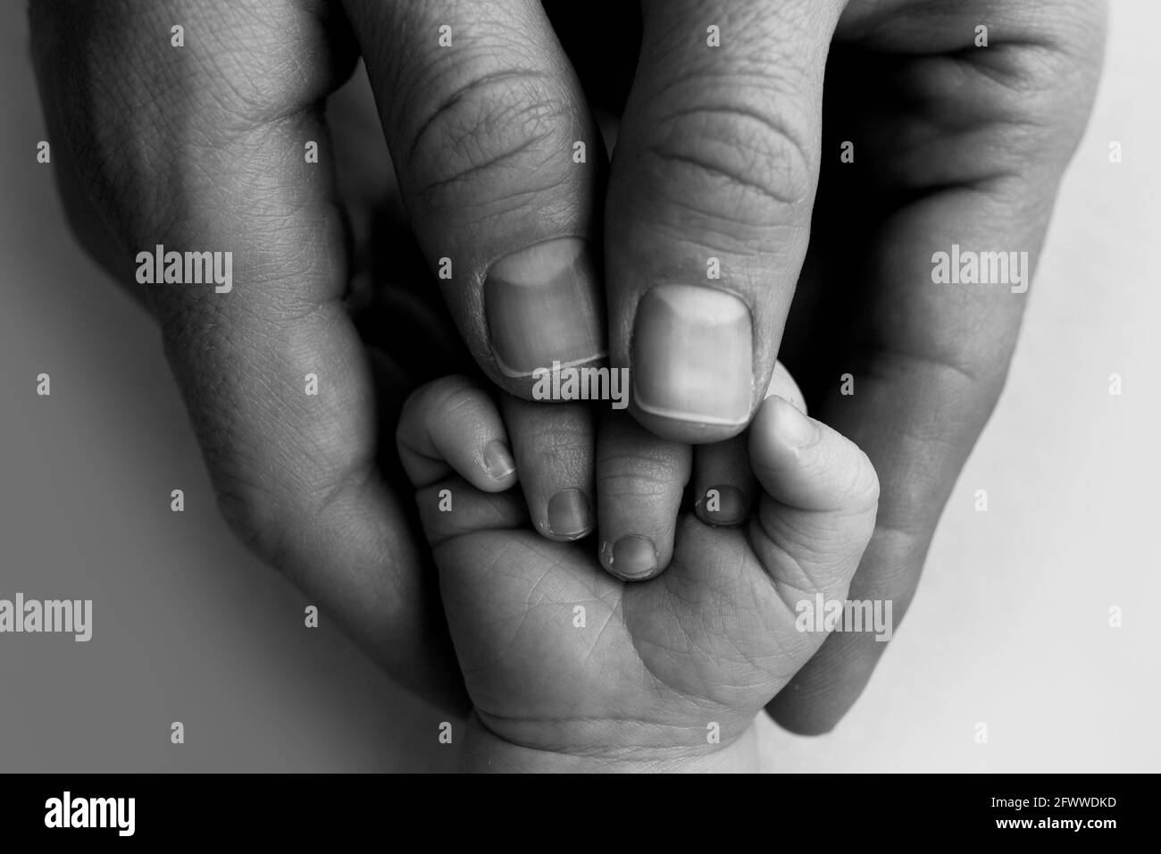 Ein Neugeborenes hält sich an den Finger der Mutter, des Vaters. Hände von Eltern und Baby aus nächster Nähe. Ein Kind vertraut und hält sie fest. Schwarzweiß-Foto. Stockfoto
