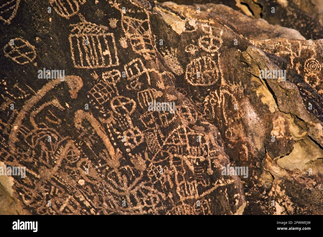 Felszeichnungen; im Chidalgo Canyon; Chalfant Valley; im Mono County; Kalifornien. Die Handarbeit vieler Individuen über Tausende von Jahren; die eingeschnittenen Entwürfe sollen die Visionen von Schamanen aufzeichnen, die Sehaufgaben verfolgen; geistige Helfer und die Macht des Übernatürlichen. Möglicherweise verbunden mit der Einnahme von Jimsonweed; ein Halluzinogen. Stockfoto