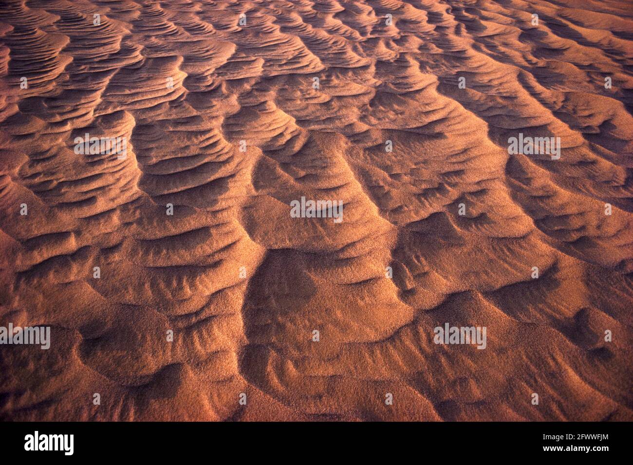 Wind Turbulence formt Sand in einem sich ständig ändernden fraktalen Muster. Eines der kardinalen Designmotive in der Natur; stehende Wellen in einem Dünenfeld erscheinen nicht anders als in einem Flugzeug als auf den Knien. Imperial Valley; Kalifornien; USA. Stockfoto