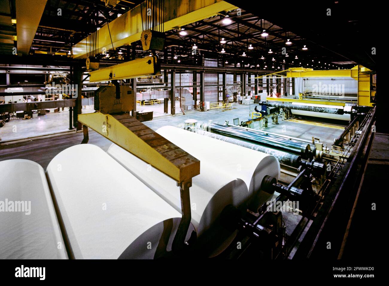 Papierrollen in einer Papierfabrik Stockfoto