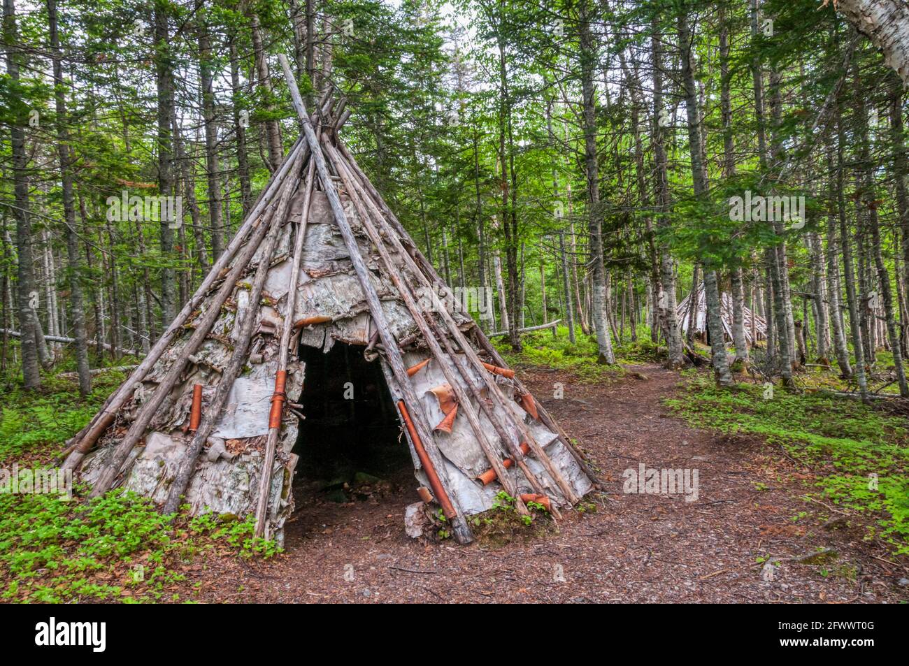 Rekonstruierte Beothuk winter Camp bei Red Indian Lake, Neufundland. Stockfoto