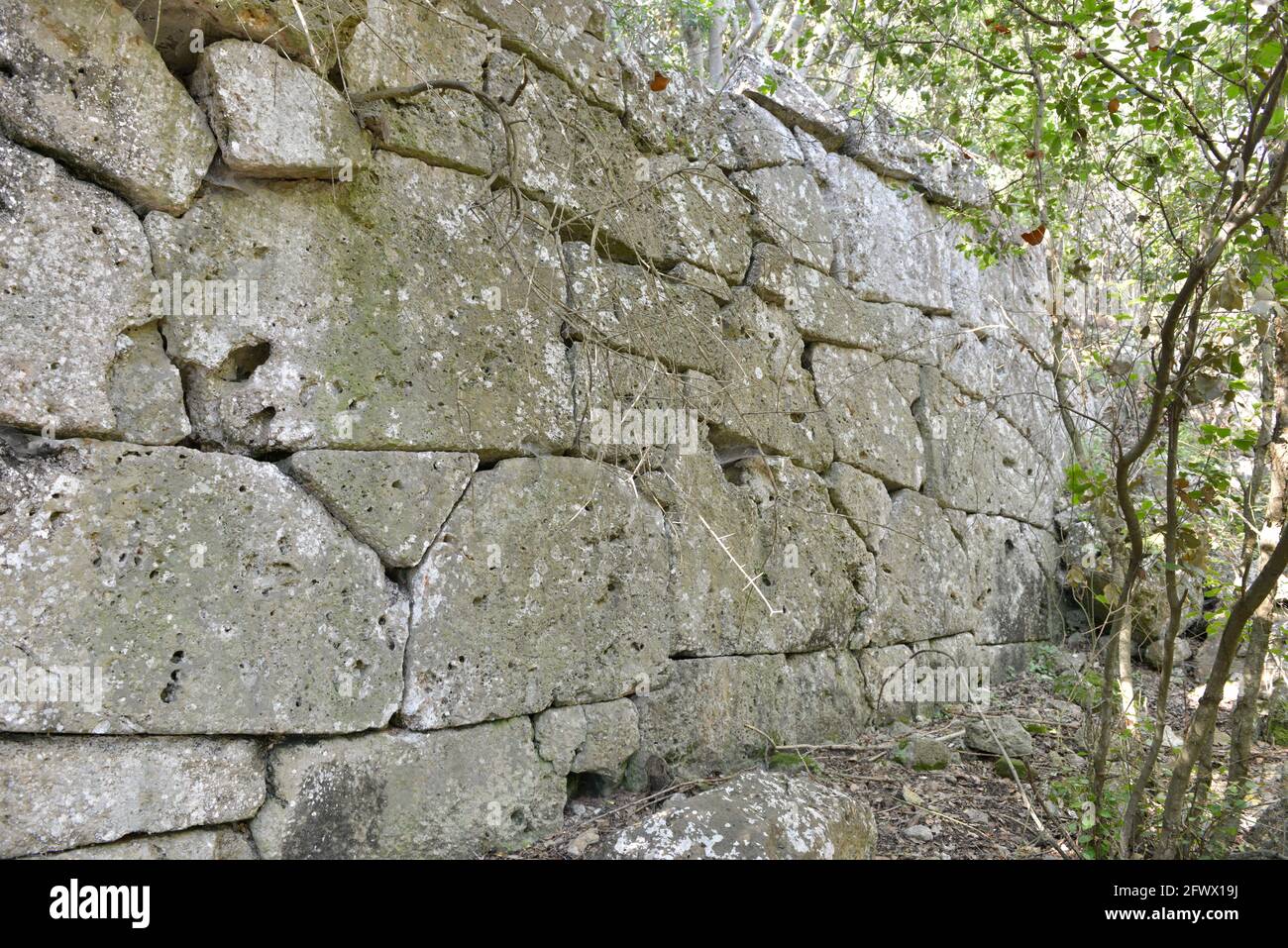 Zyklopenmauer . Zyklopenmauerwerk . Cosa Italien Stockfoto