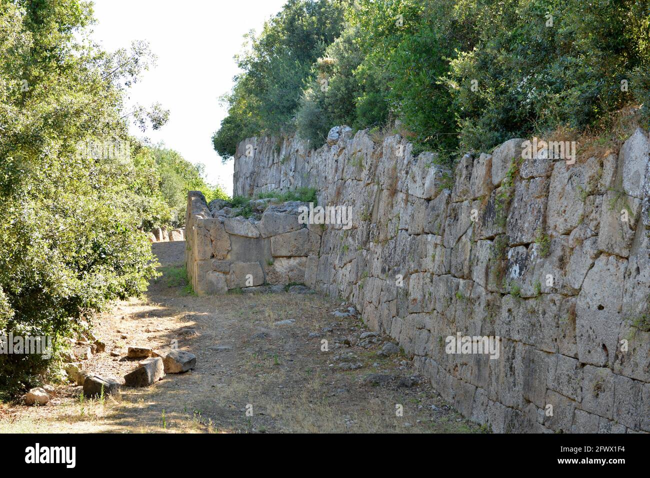 Zyklopenmauer . Zyklopenmauerwerk . Cosa Italien Stockfoto