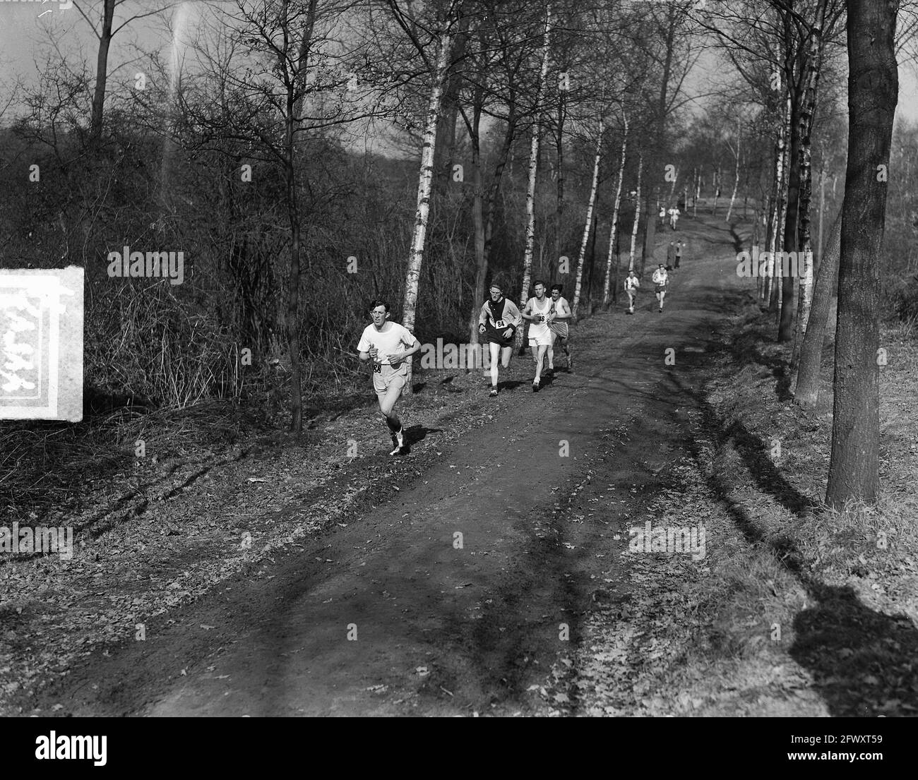 Leichtathletik. Feldlauf, 4. März 1951, Leichtathletik, Niederlande, 20. Jahrhundert Presseagentur Foto, Nachrichten zu erinnern, Dokumentarfilm, historische Fotografie Stockfoto