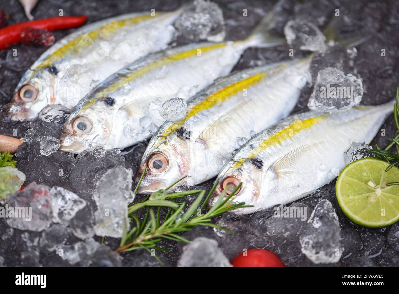 Frischer Fisch roher Gelbstreifen-Scad mit Zitrone, Makrelenfisch auf Eis zum Kochen im Restaurant, Draufsicht Stockfoto