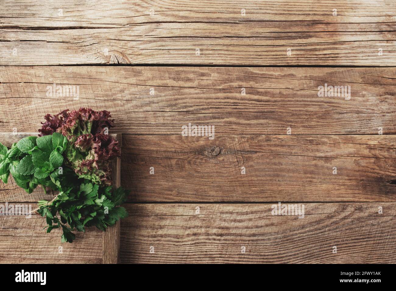 Gartenarbeit und gesundes Esskonzept mit verschiedenen Kräutern und Salat Blätter auf hölzernen Hintergrund in Holzbehälter Stockfoto