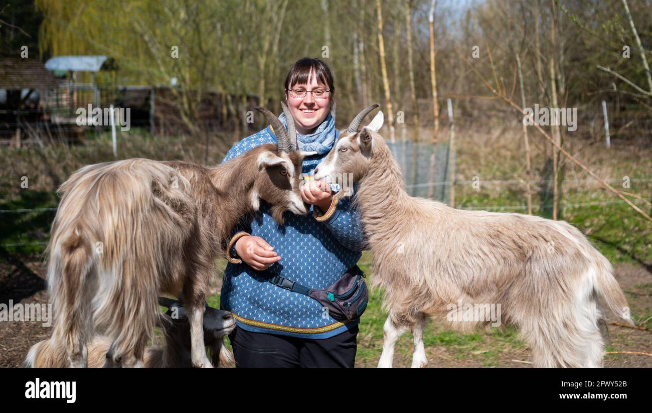 Amelinghausen, Deutschland. April 2021. Anna-Lena Dahm, die mit ihren Ziegen trainiert. In naher Zukunft will sie ihre drei Ziegen Lotta, Madita und Pelle beruflich in verschiedenen therapeutischen, heilenden, stillenden oder pädagogischen Kontexten als "Spezialistin für tiergestützte Interventionen" einsetzen. Quelle: Philipp Schulze/dpa/Alamy Live News Stockfoto