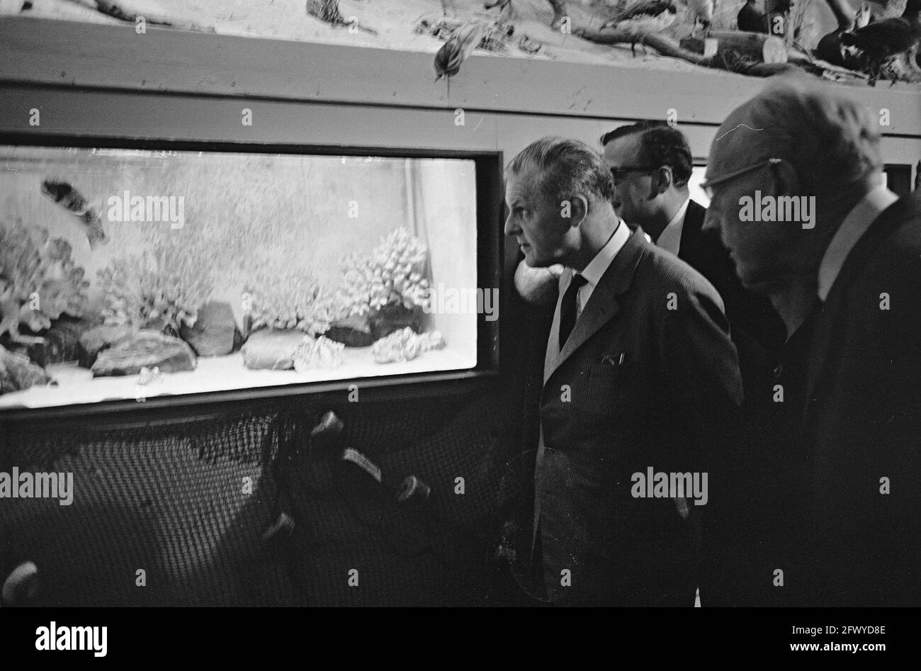 Gerichtsverhandlung im Meeraquarium in Bergen, das Gericht während der Tour, 2. Juni 1964, Niederlande, Foto der Presseagentur des 20. Jahrhunderts, zu erinnerende Nachrichten, Stockfoto