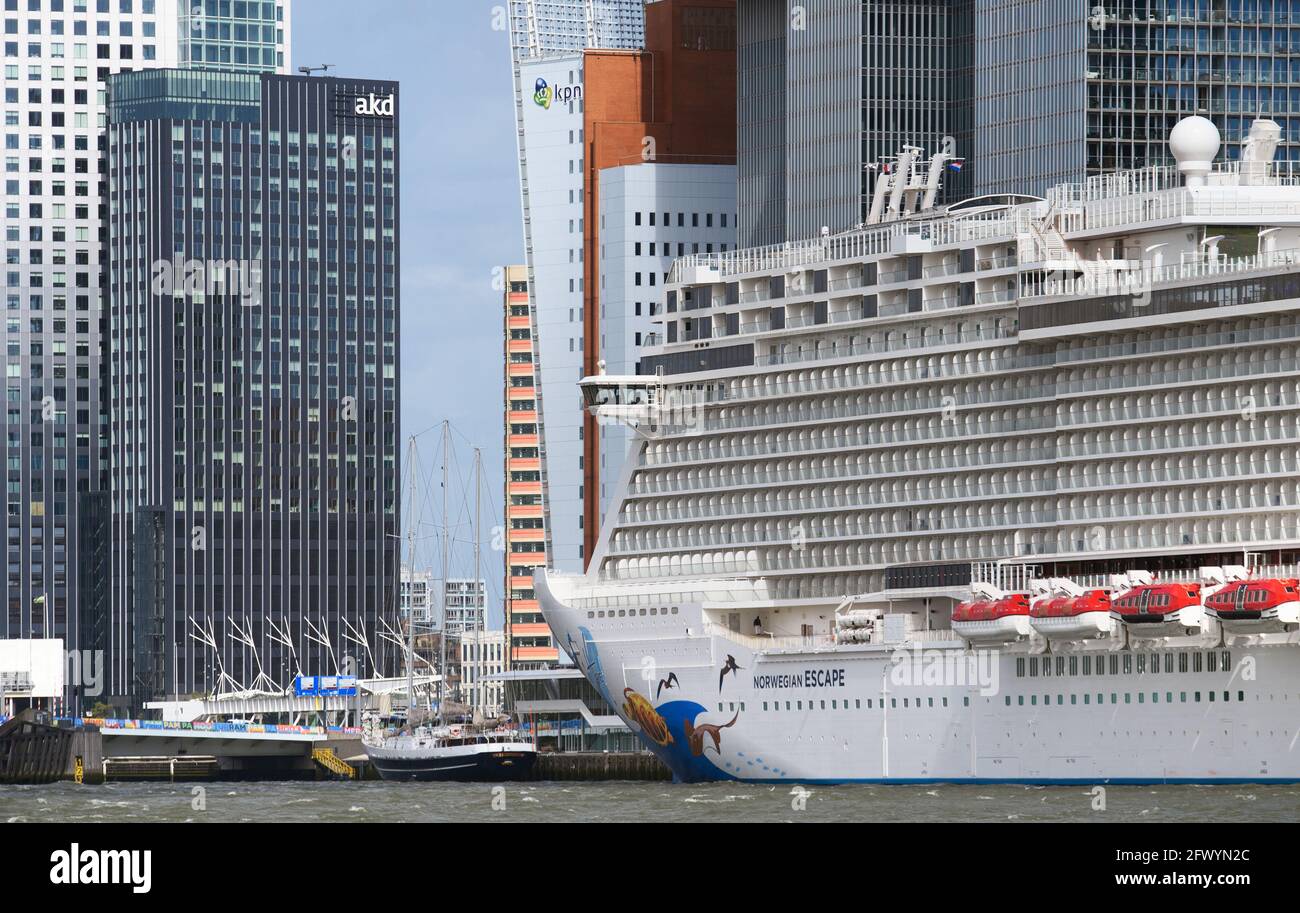 Rotterdam, Niederlande. Mai 2021. Das Schiff „Norwegian Escape“ liegt am Ufer der Maas neben den Hochhäusern De Rotterdam (r), die vom Architekturbüro Office for Metropolitan Architecture auf der Halbinsel Kop van Zuid entworfen wurden. Der Bug des Schiffes zeigt ein Bild einer Meeresschildkröte und einen Strahl, der vom Künstler Guy Harvey entworfen wurde. Quelle: Soeren Stache/dpa-Zentralbild/dpa/Alamy Live News Stockfoto