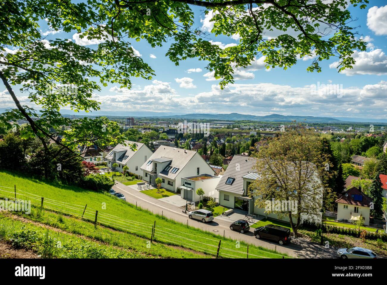 Blick über den Stadtteil Herdern in Freiburg Stockfoto