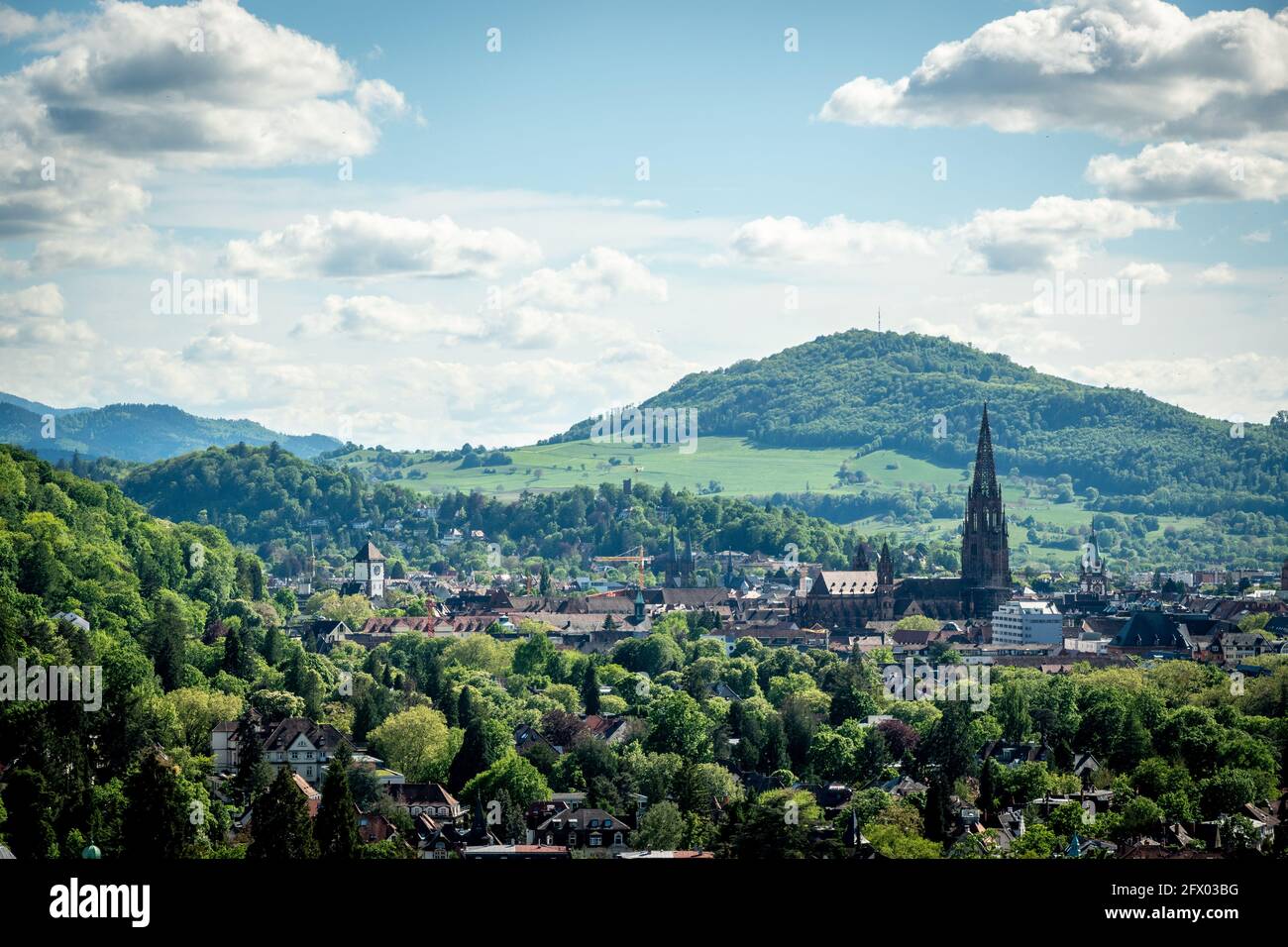 Blick Richtung Münster von Freiburg Stockfoto