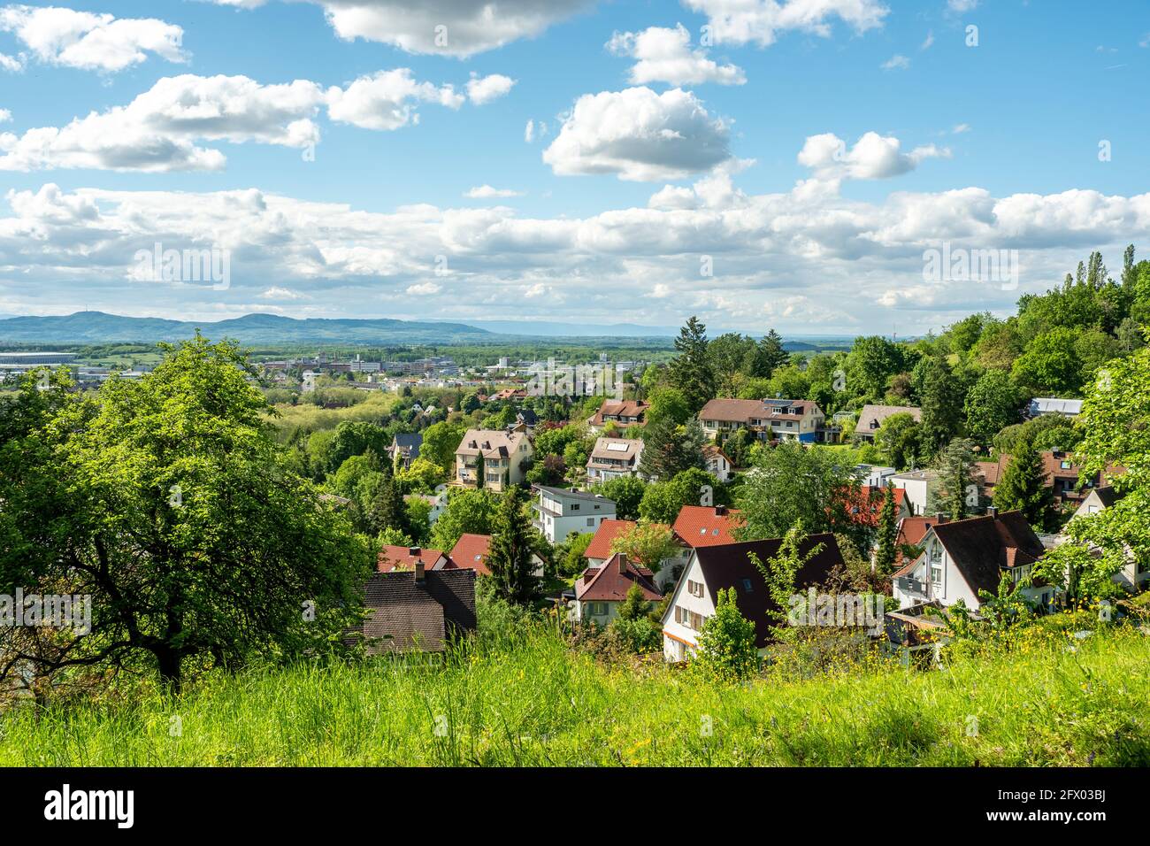 Blick über den Stadtteil Herdern in Freiburg Stockfoto