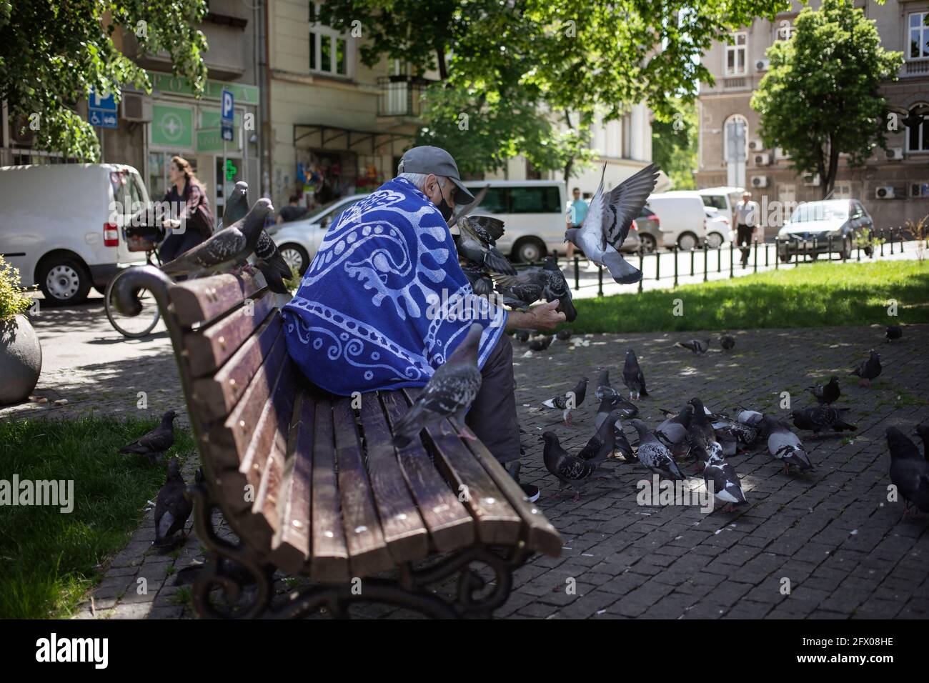 Belgrad, Serbien, 23. Mai 2021: Senioren füttern Tauben im Park Stockfoto