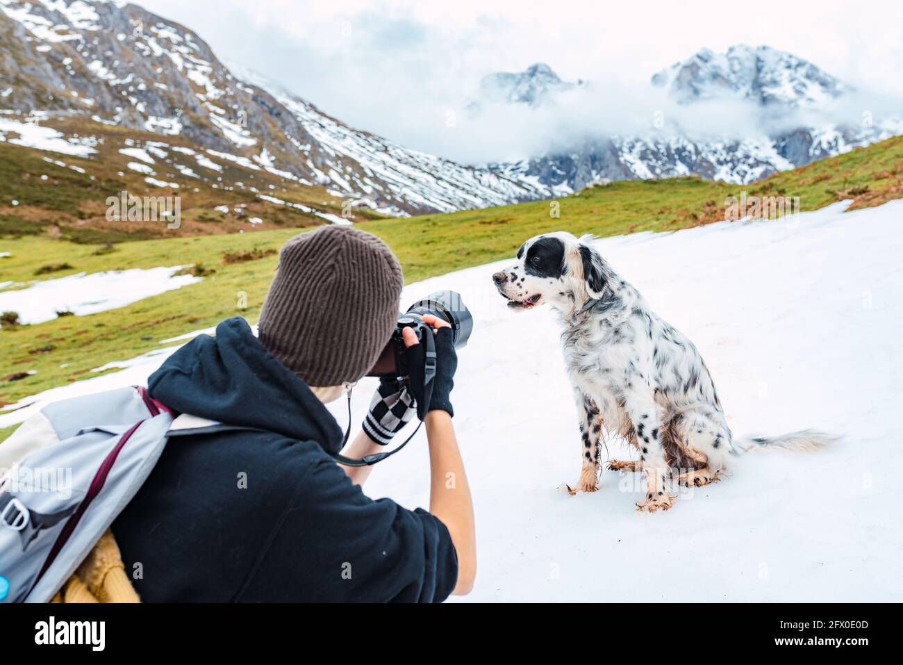 Rückansicht einer Fotografin in warmer Kleidung und mit Rucksack mit  Fotokamera, um Englisch Setter Hund auf zu schießen Verschneite Berge in  den Gipfeln von Europ Stockfotografie - Alamy