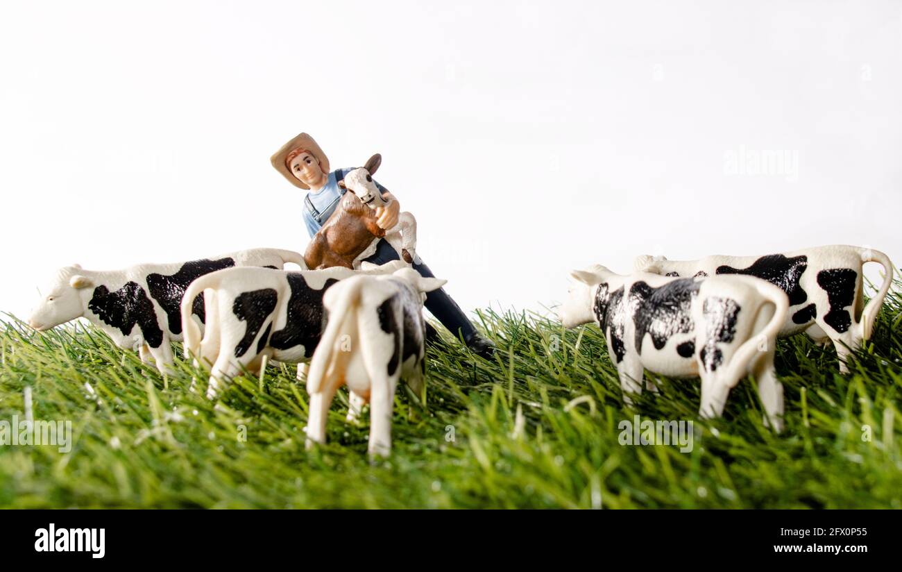 Miniaturfiguren auf einem Bauernhof. Ein Mädchen, das Pferd, ein Mann und eine Frau in der Nähe des Traktors, jemand, der die Kühe füttert, das Bauernhaus im Hintergrund. Stockfoto