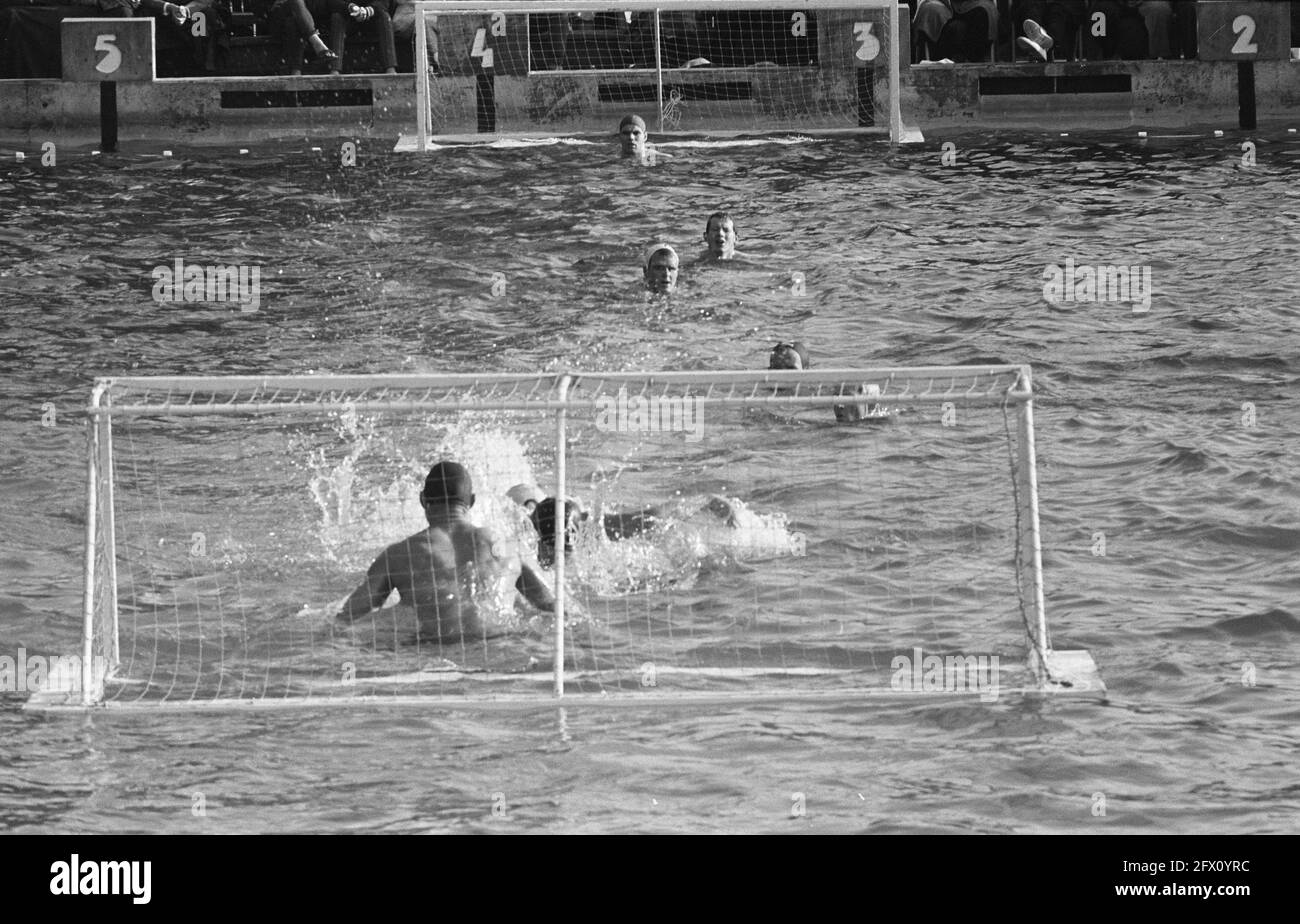 Wasserballspiel Wasserball Olympiade Schwimmen Foto Hintergrund Und Bild  zum kostenlosen Download - Pngtree