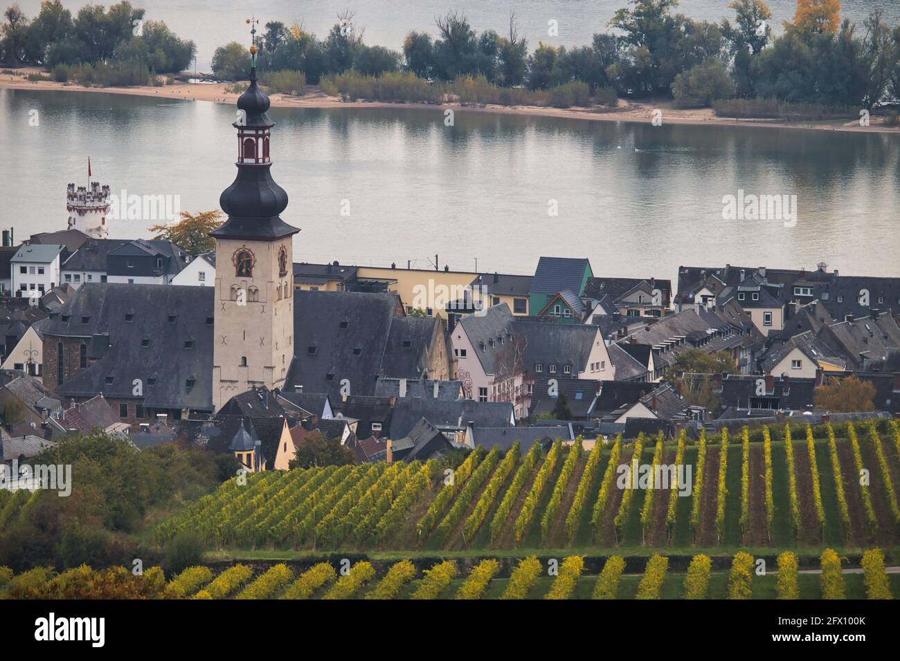 An einem Herbsttag in Rüdesheim am Rhein, Deutschland, befinden sich neben dem Fluss auch die Kirche St. Jakobus und ein Weinberg. Stockfoto