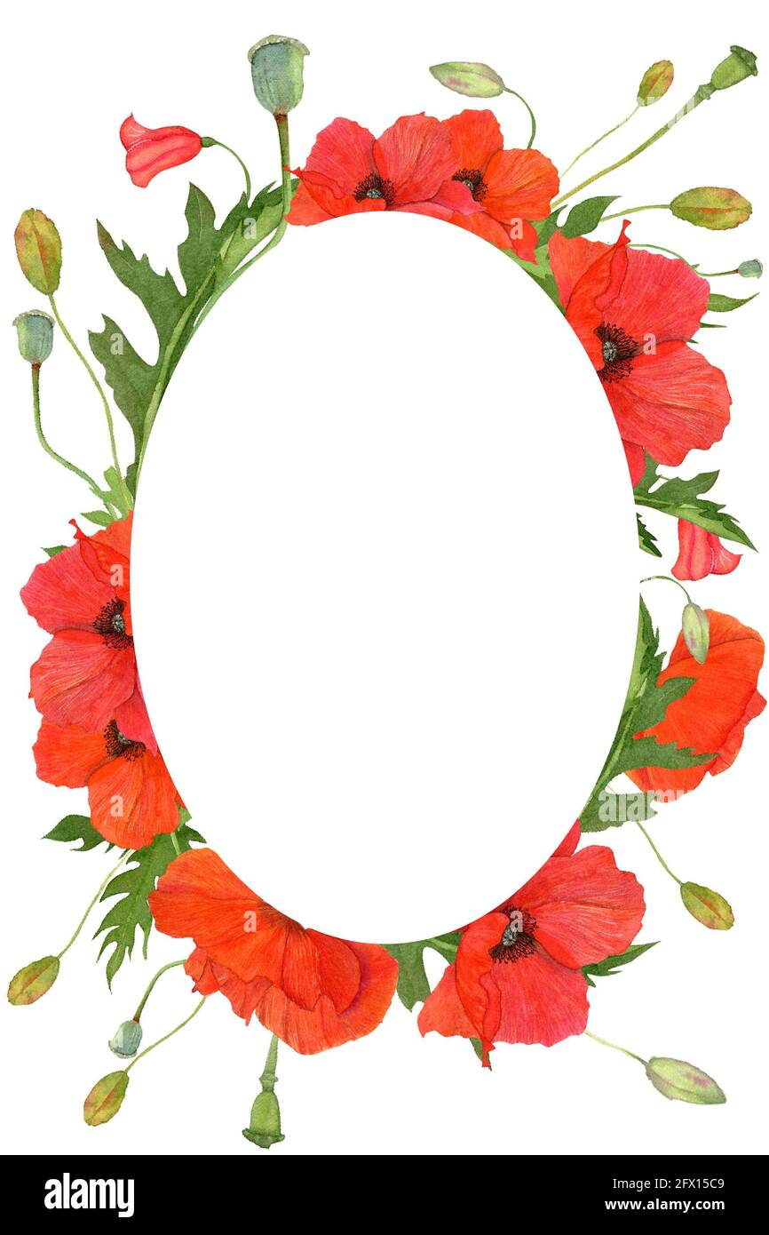 Romantischer ovaler Blumenrahmen aus roten Mohnblumen, grünen Blättern und Knospen. Stockfoto
