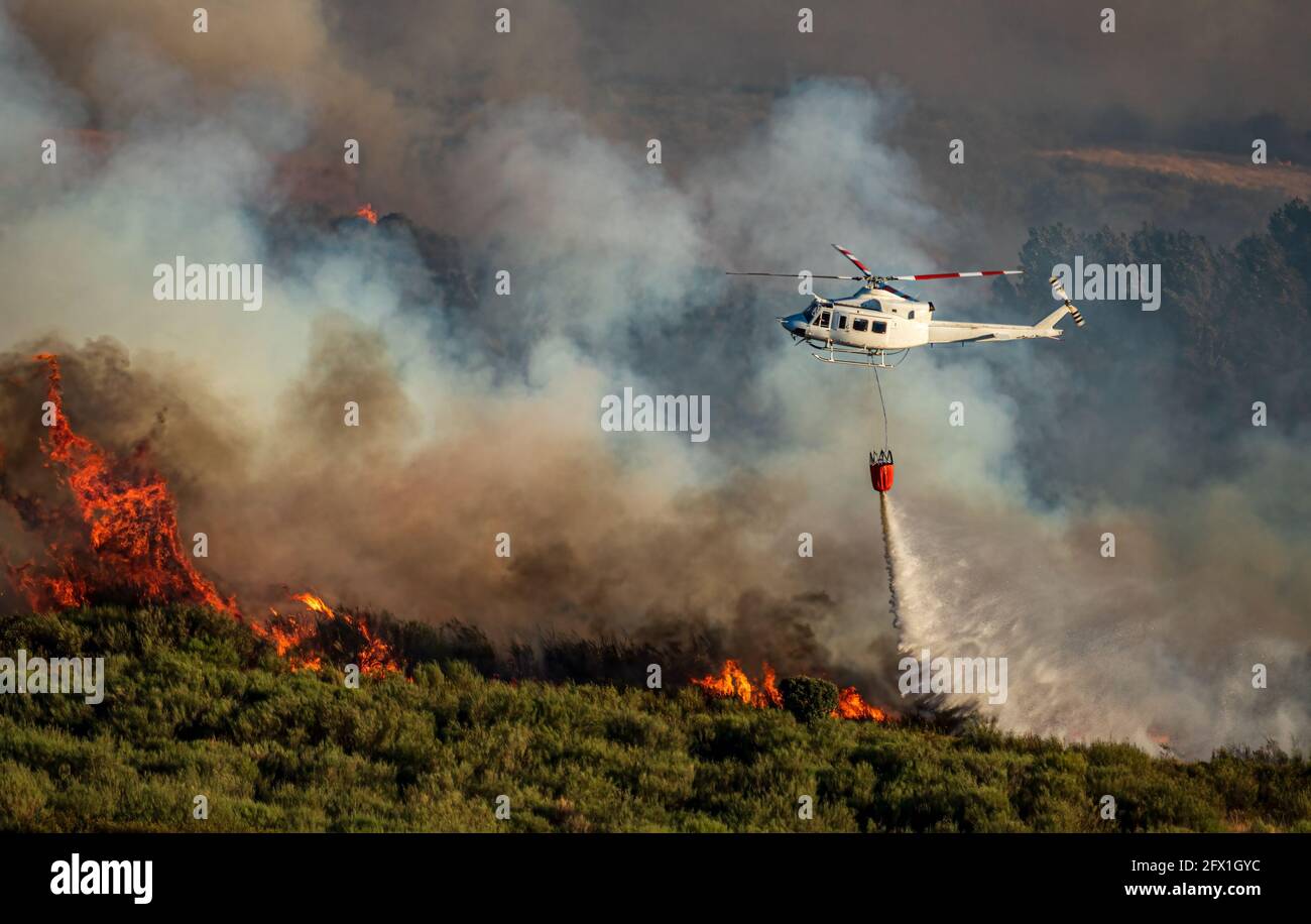 Hubschrauber mit bambi-Eimer über dem Feuer Stockfoto