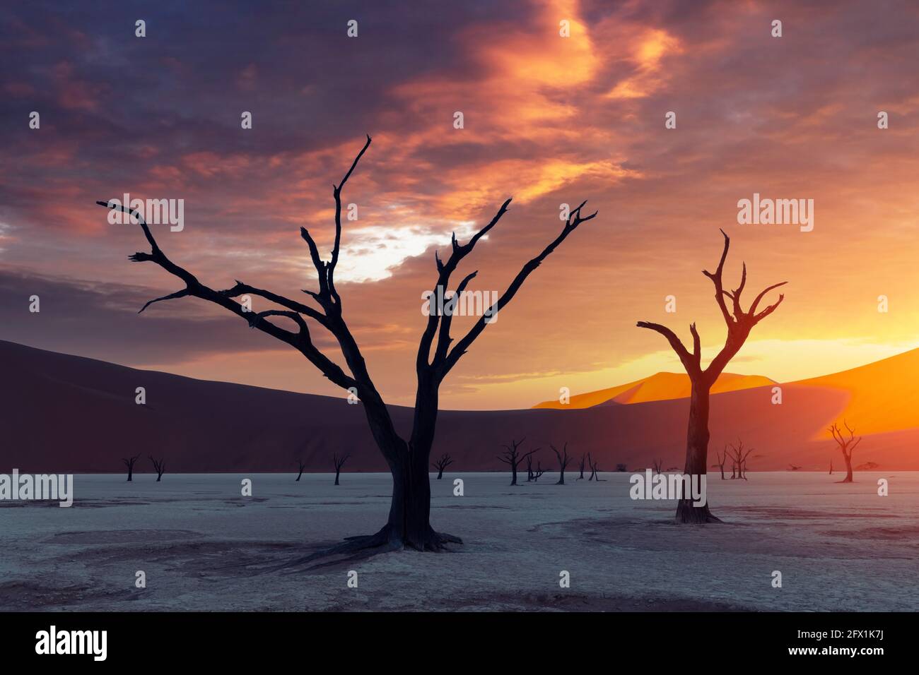 Tote Camelthorn Bäume bei Sonnenuntergang, Deadvlei, Namib-Naukluft National Park, Namibia, Afrika. Getrocknete Bäume in der Wüste Namib. Landschaftsfotografie Stockfoto