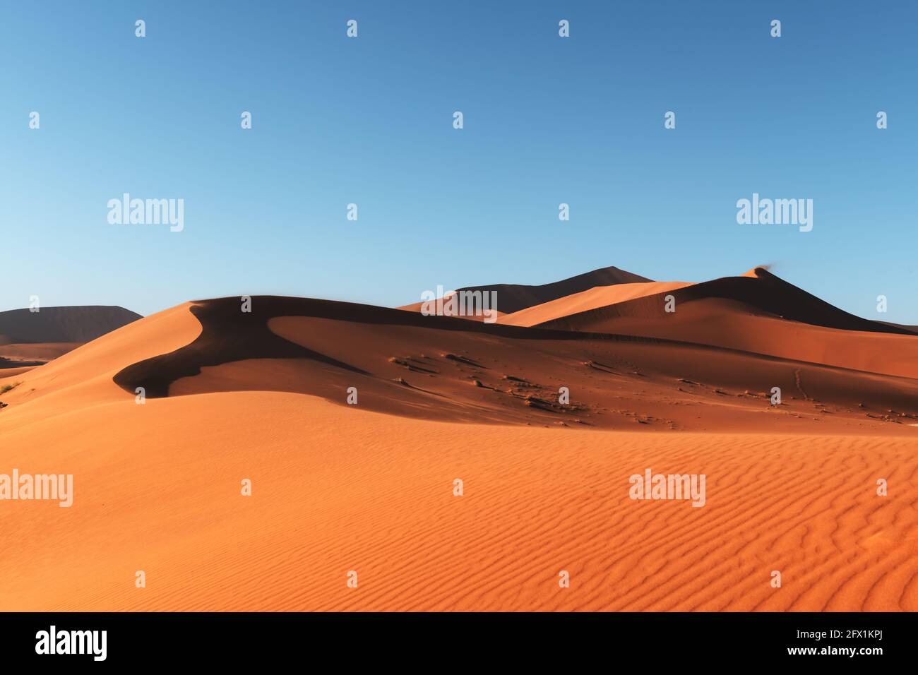 Orangefarbene Sanddünen und klarer Himmel in der Namib-Wüste im Namib-Naukluft National Park von Namibia, Afrika. Landschaftsfotografie Stockfoto