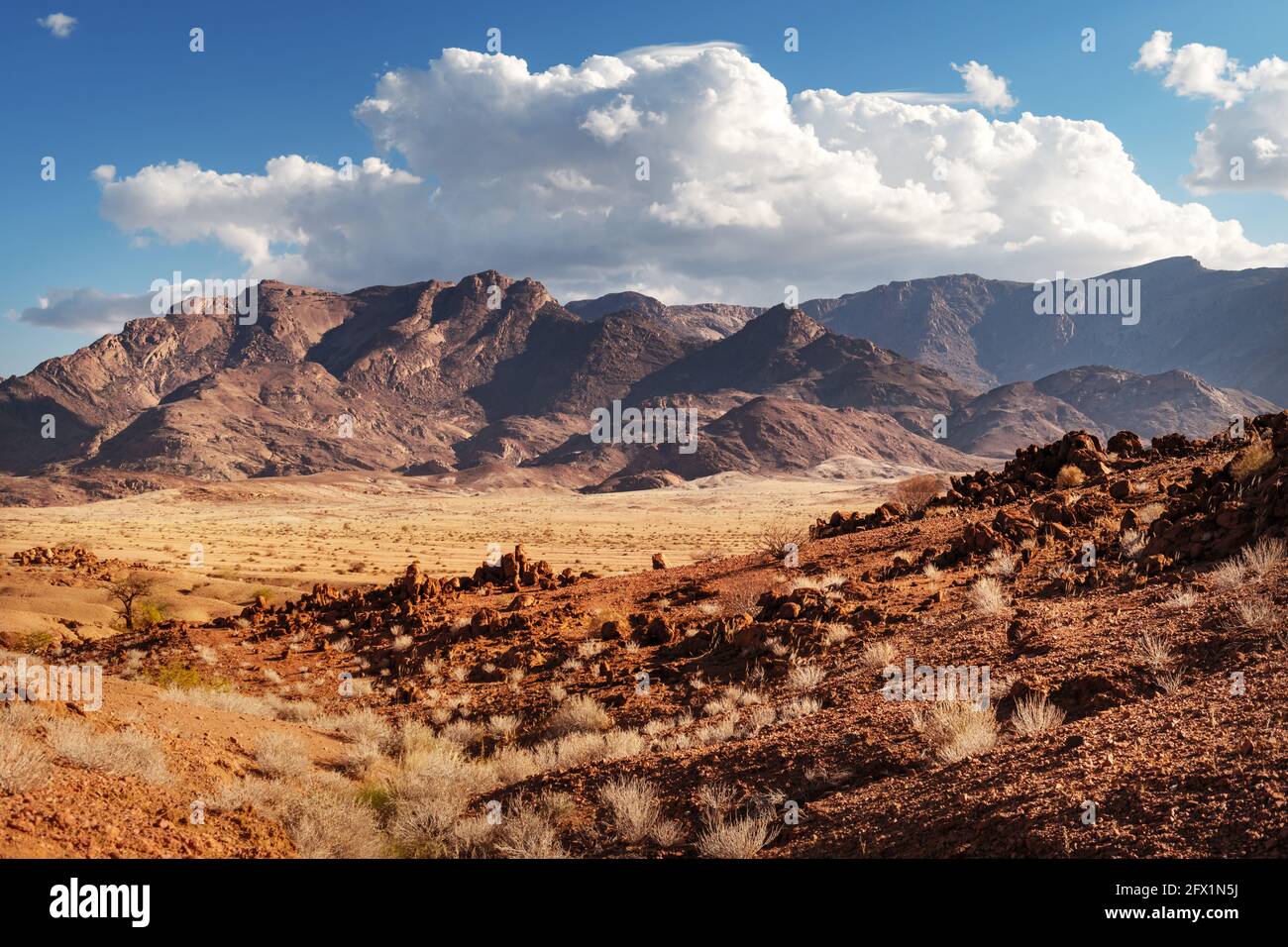 Felsen der Namib Wüste, Namibia, Afrika. Rote Berge und gelbe Savanne mit blauem Himmel Hintergrund. Landschaftsfotografie Stockfoto