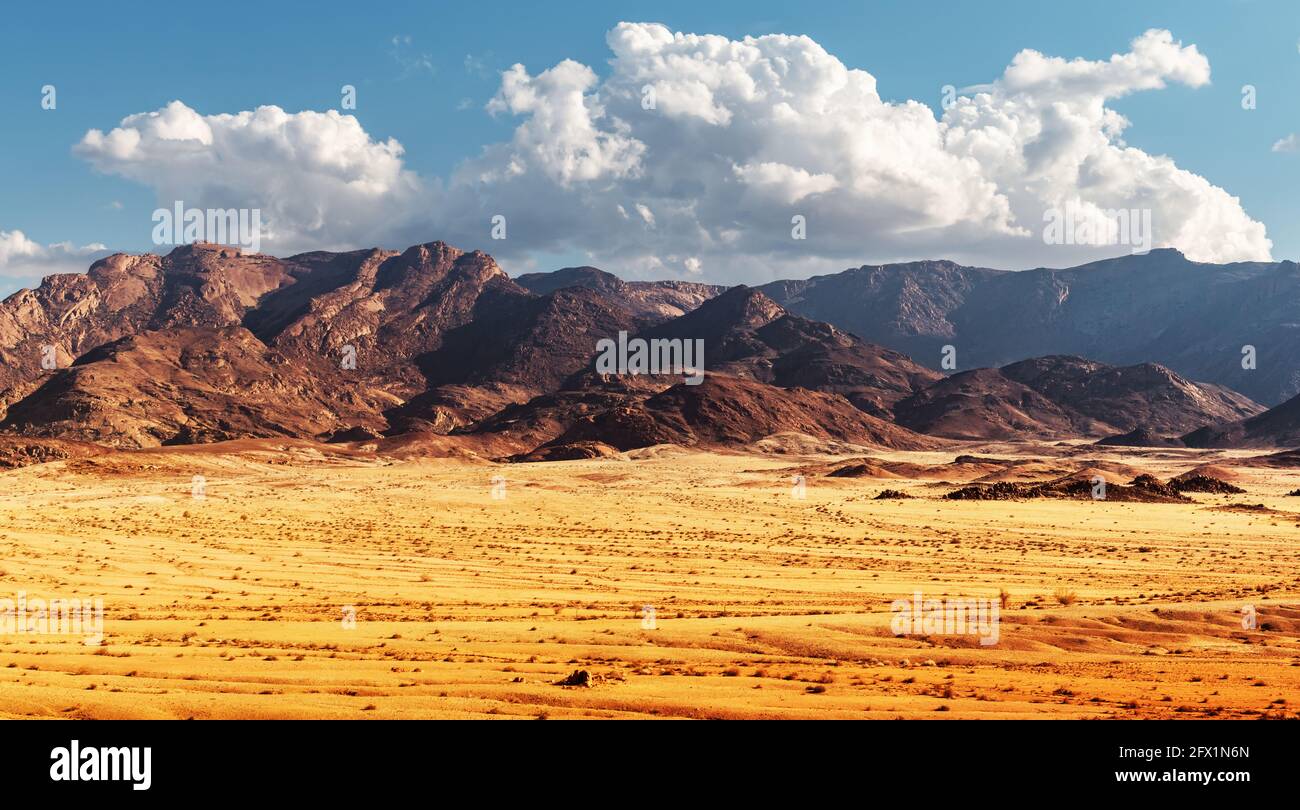 Felsen der Namib Wüste, Namibia, Afrika. Rote Berge und gelbe Savanne mit blauem Himmel Hintergrund. Landschaftsfotografie Stockfoto