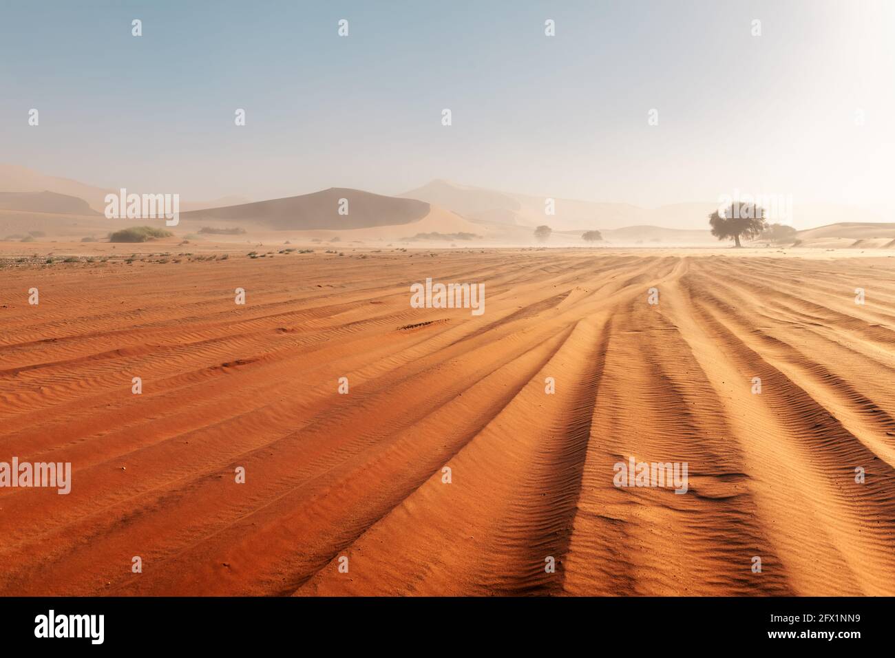 Sandsturm in Sossusvlei in der Namib Wüste Namibias mit roten Sanddünen und Autospuren. Landschaftsfotografie Stockfoto