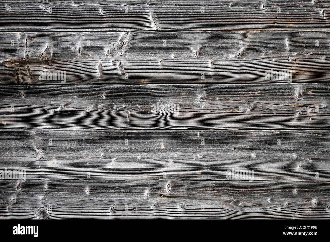 Natürlich gealterte Holzeichenplanken Hintergrund. Natürliche Textur. Kann wie ein Naturhintergrund verwendet werden Stockfoto
