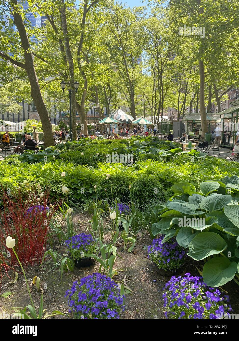 Frühling im Bryant Park in Midtown Manhattan., Stockfoto