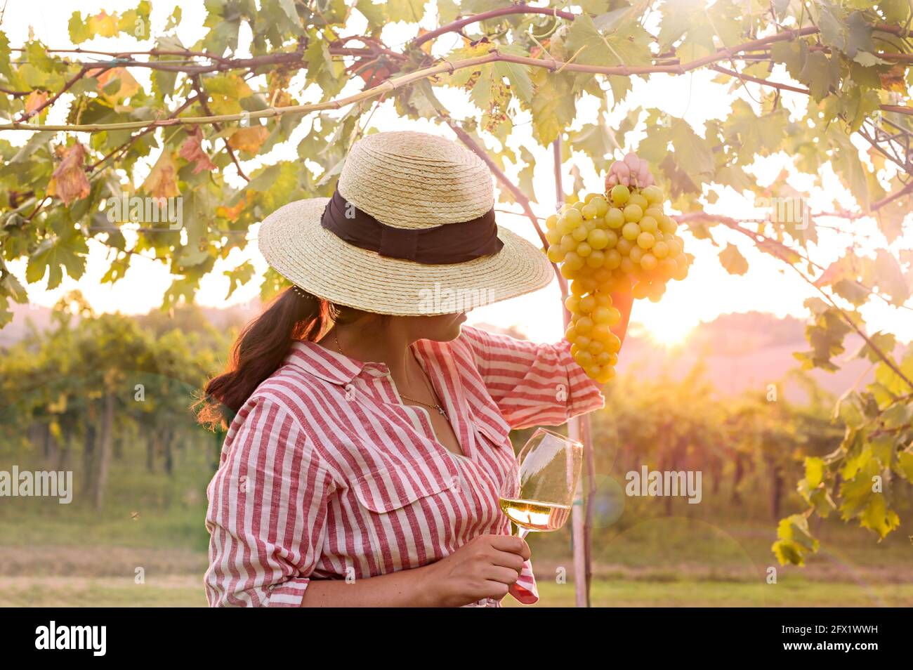 Junge Frau mit einem Glas Weißwein in den Weinbergen Italiens. Person mit einem Hut in den Strahlen der untergehenden Sonne. Freier Speicherplatz für Text. Piemonte Weinberge. Hochwertige Fotos. Speicherplatz kopieren Stockfoto
