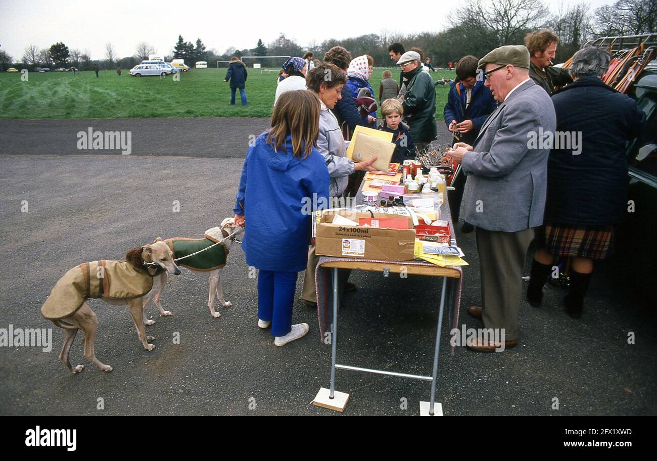 Whippet Racing im Andover Whippet Racing Club 1980 Stockfoto