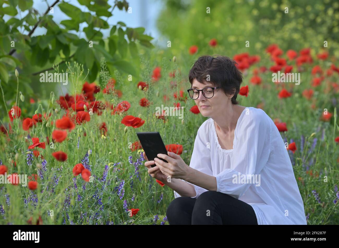 Frau in EINEM Mohnfeld Lesen und Halten Tablet Book Stockfoto