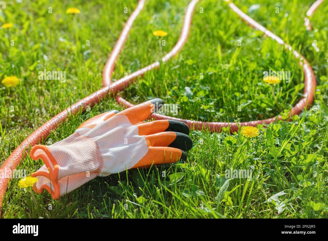 Das Thema der Gartengeräte, Hütten. Handschuh und Schlauch auf dem Gras Stockfoto