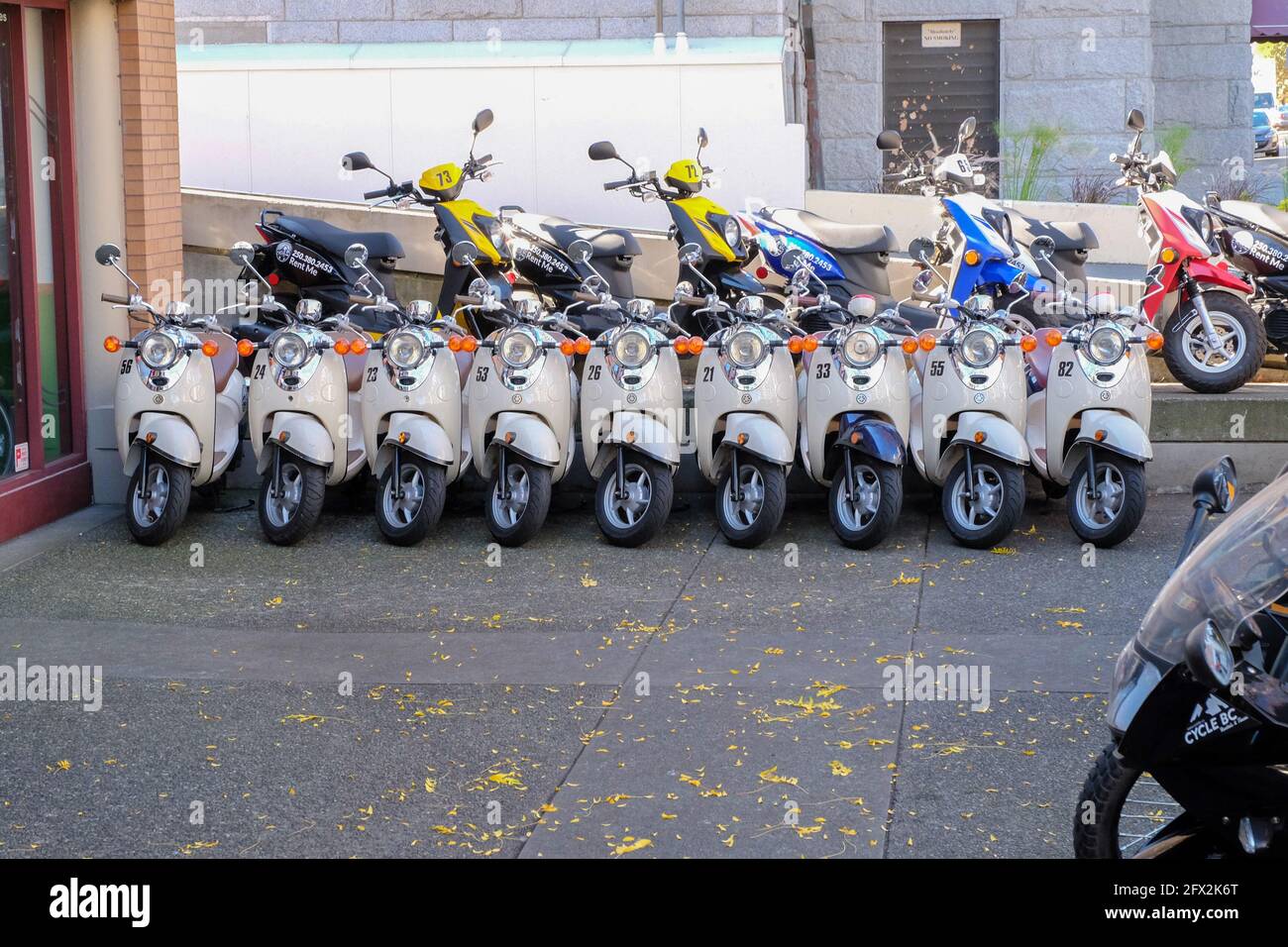 VICTORIA, VANCOUVER ISLAND, KANADA - 2016. SEPTEMBER 22: Glänzende Motorroller, nummeriert, zu mieten, ordentlich aufgereiht in einer Reihe außerhalb des Cycle BC Mietladens Stockfoto