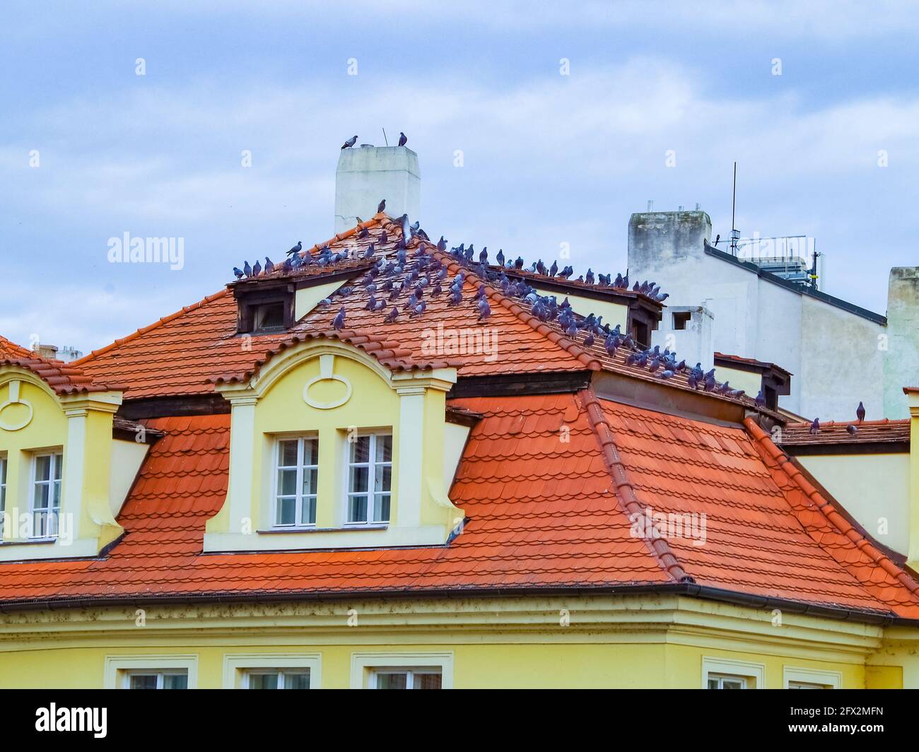 Tauben auf dem Dach eines bunten Hauses in Prag Stockfoto