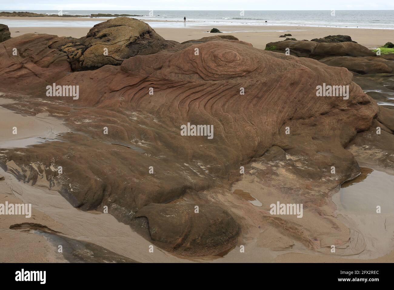 Beach Rings am Cocklawburn Beach Stockfoto