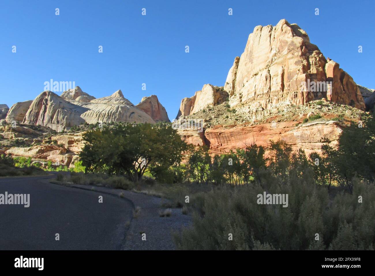 Blick vom Highway 24 auf den Capitol Dome und den Navajo Dome im Capitol Reef National Park, Utah, USA, bei Nachmittagssonne Stockfoto