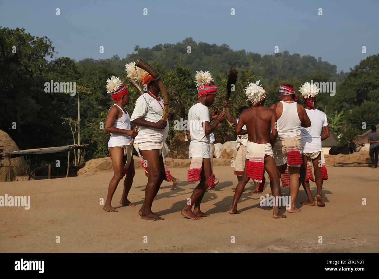 LANJIA SAORA TRIBE - traditioneller Gruppentanz. Männliche Tänzer mit Lendenschurzen und Köpfen, die mit weißen Vogelfedern verziert sind, spielen Trommeln, Gagerai, Trete Stockfoto