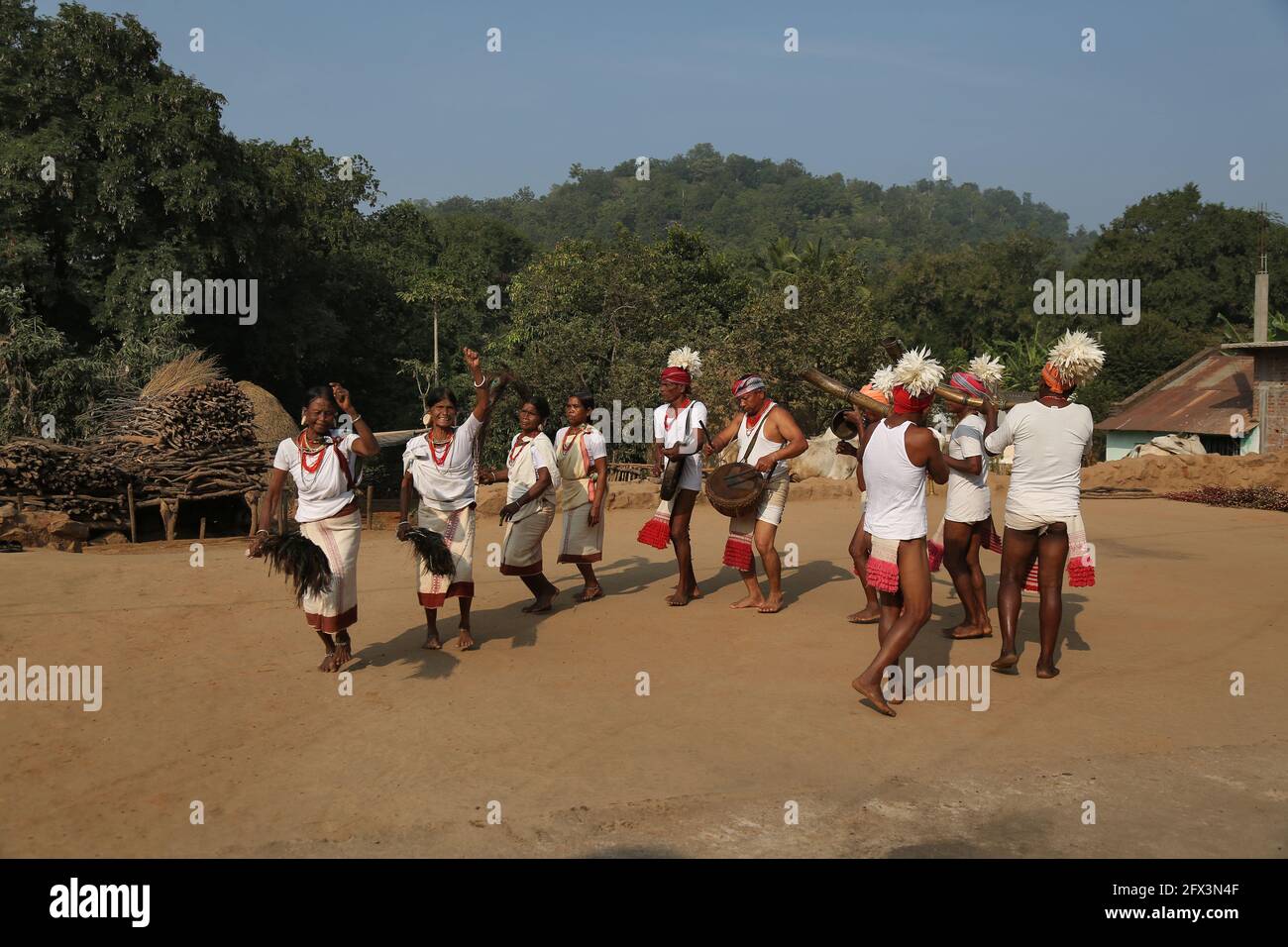 LANJIA SAORA TRIBE - traditioneller Gruppentanz. Männliche Tänzer mit Lendenschurzen und Köpfen, die mit weißen Vogelfedern verziert sind, spielen Trommeln, Gagerai, Trete Stockfoto