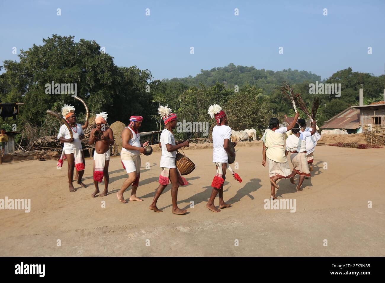 LANJIA SAORA TRIBE - traditioneller Gruppentanz. Männliche Tänzer mit Lendenschurzen und Köpfen, die mit weißen Vogelfedern verziert sind, spielen Trommeln, Gagerai, Trete Stockfoto