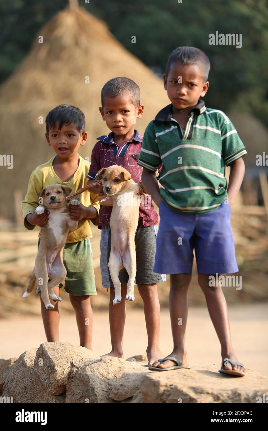 LANJIA SAORA TRIBE - Kinder posieren für Kamera mit ihren Haustier Welpen. Puttasingh Stammesdorf von Odisha, Indien Stockfoto