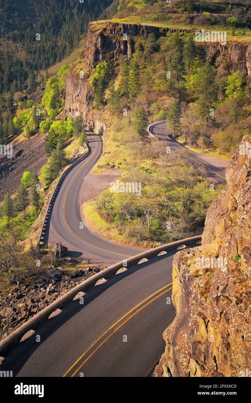 Frühlingsmorgen Blick auf die Rowena Loops umarmt den Felsen Klippen direkt unter dem Aussichtspunkt Rowena Crest im historischen Columbia von Oregon River Highway in Wasco Stockfoto