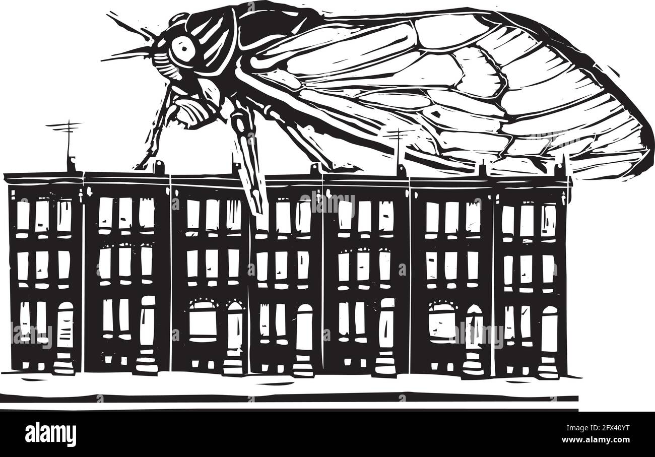 Holzschnitt expressionistischen Stil Bild einer Brut X Cicada kriechen Auf baltimore Reihenhäuser Stock Vektor