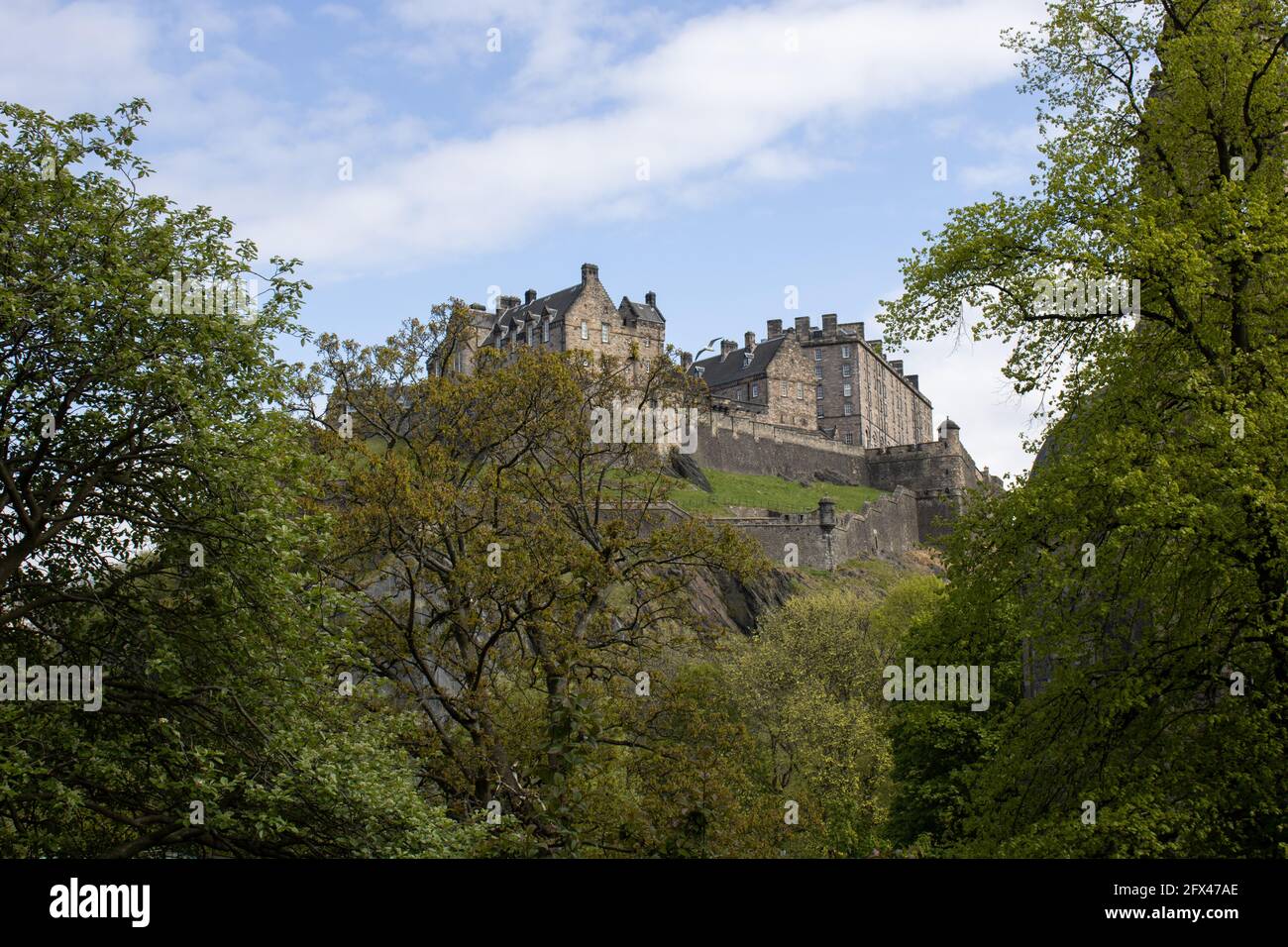 Edinburgh Castle eingerahmt von Bäumen Stockfoto