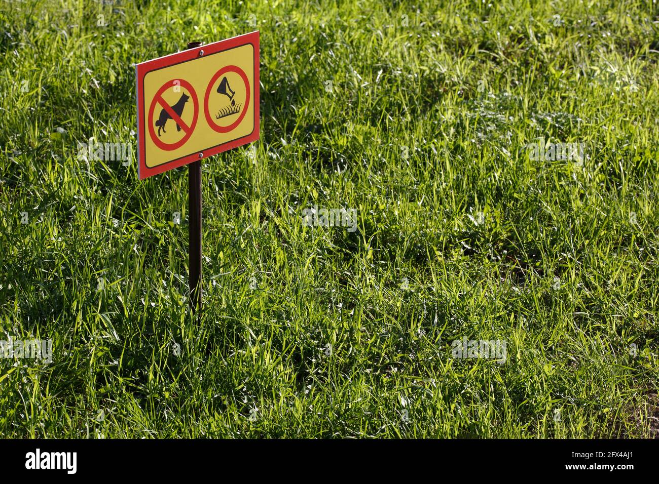Gelbes Schild mit chemischer Anwendung keine Hunde oder Haustiere auf Grüner Rasenhintergrund – Nahaufnahme mit selektivem Fokus Stockfoto