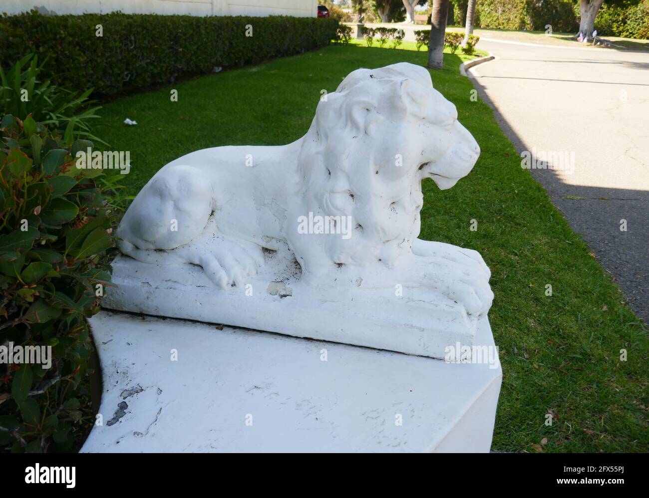 Fullerton, Kalifornien, USA 24. Mai 2021 EINE allgemeine Ansicht der Atmosphäre von Lion im Loma Vista Memorial Park am 24. Mai 2021 in Fullerton, Kalifornien, USA. Foto von Barry King/Alamy Stockfoto Stockfoto