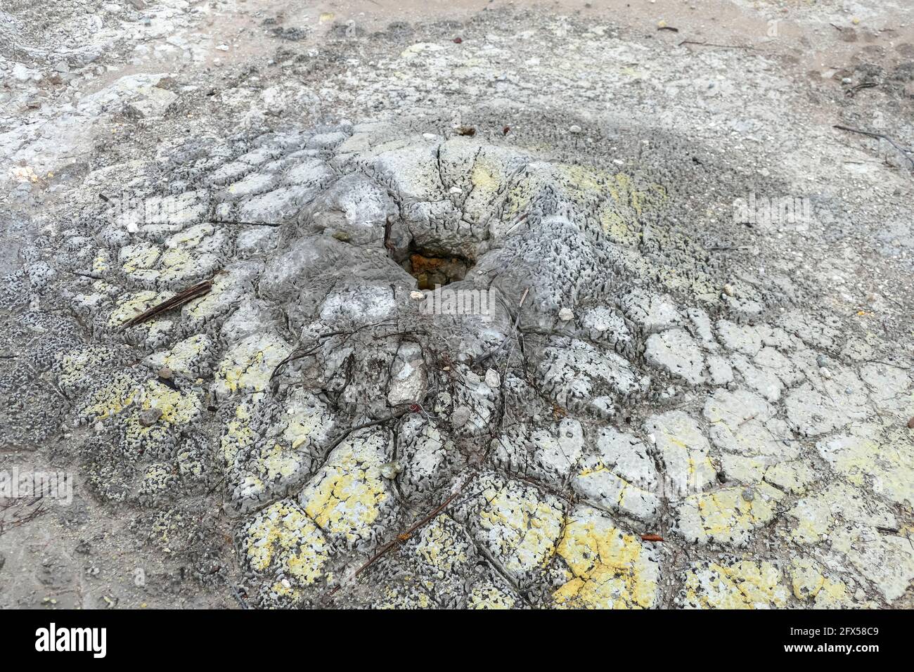 Landschaft rund um das Geothermische Tal Te Puia in Neuseeland Stockfoto